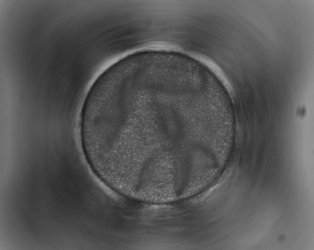 X0000102511335200809051401