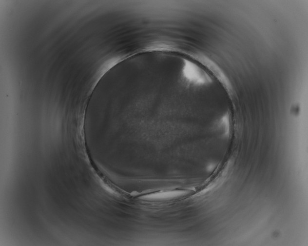 X0000102511337200809051401