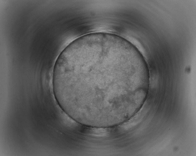 X0000102511338200809051401