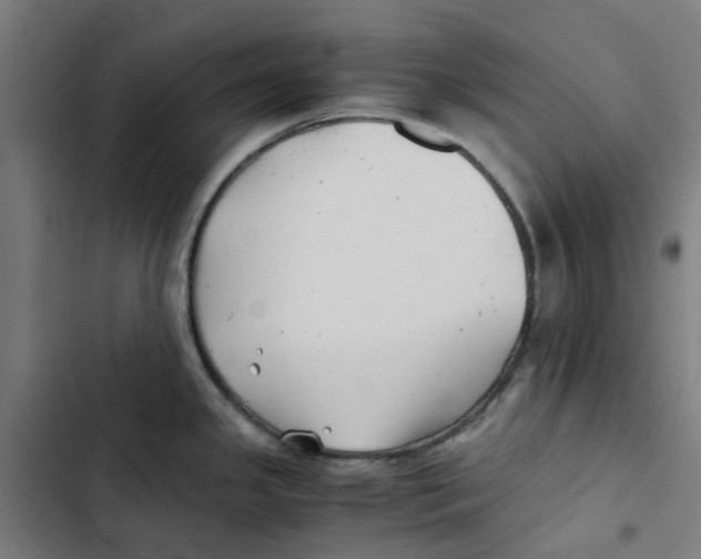 X0000102511341200809051401