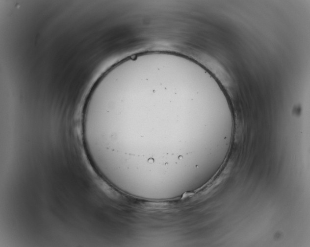 X0000102511342200809051401