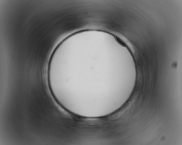 X0000102511343200809051401