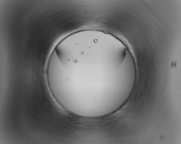 X0000102511344200809051401