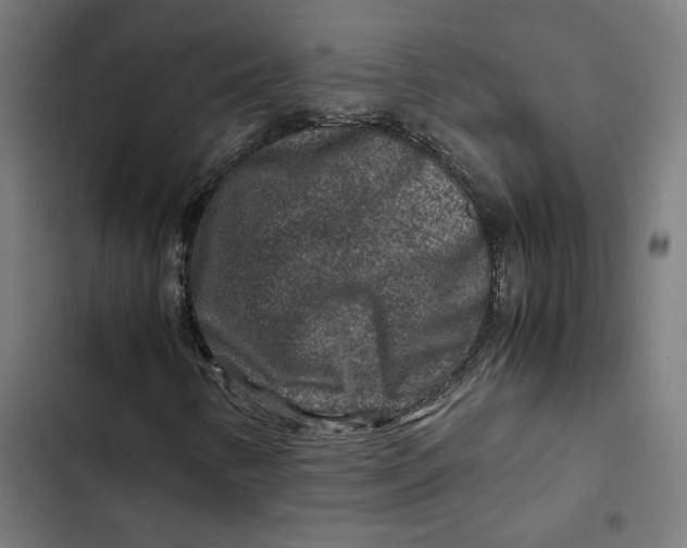 X0000102511346200809051400