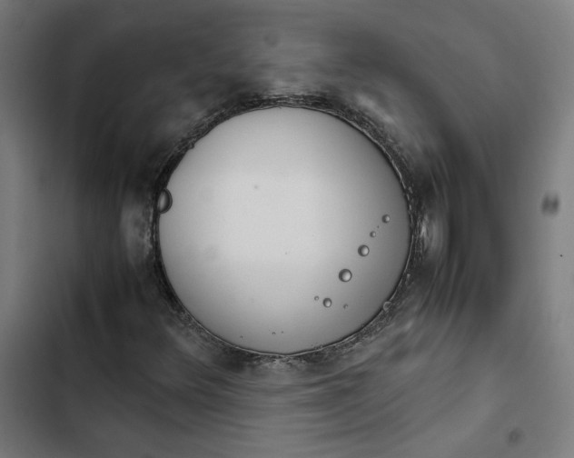 X0000102511348200809051400