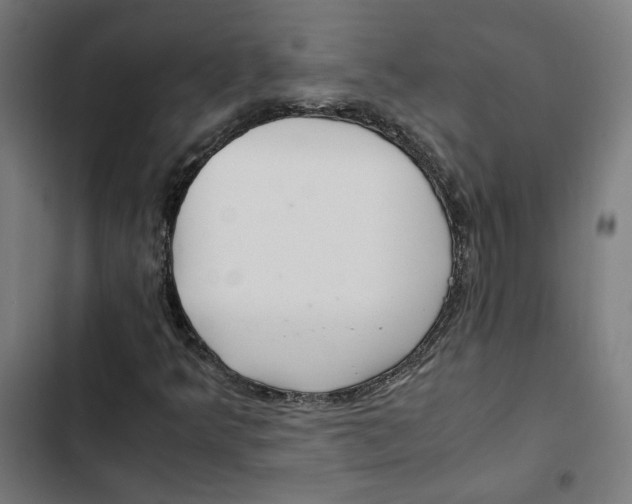 X0000102511349200809051400
