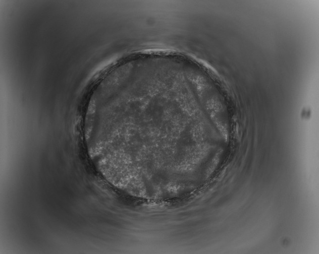 X0000102511351200809051400
