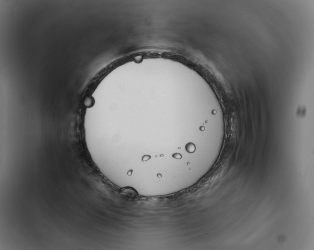 X0000102511352200809051400