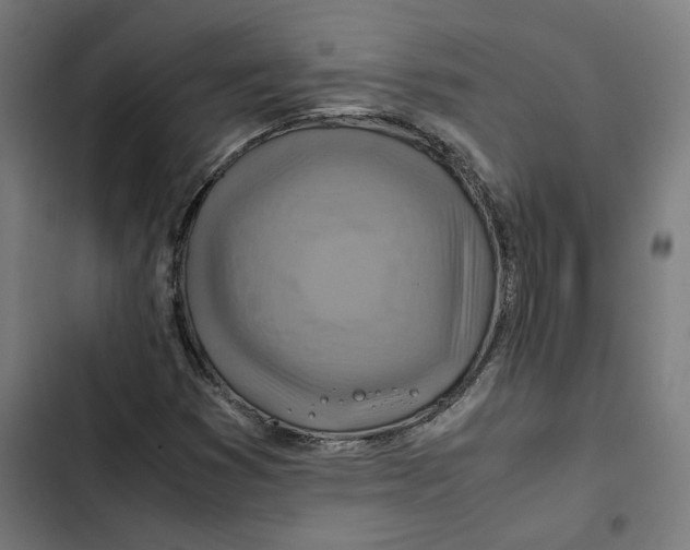 X0000102511353200809051400