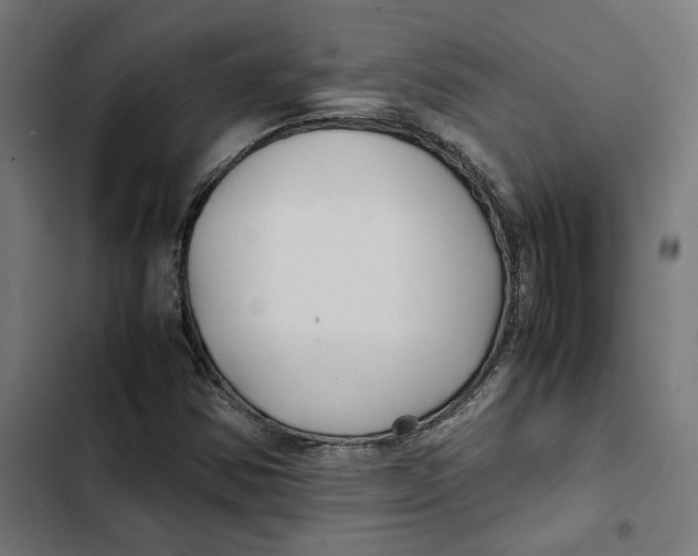 X0000102511354200809051400