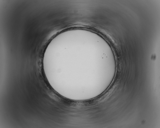 X0000102511355200809051400