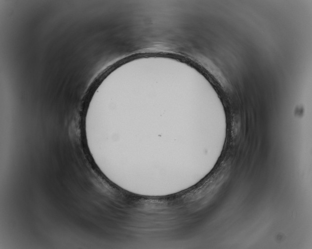 X0000102511356200809051400