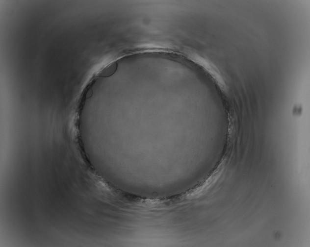 X0000102511357200809051400