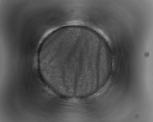 X0000102511358200809051400