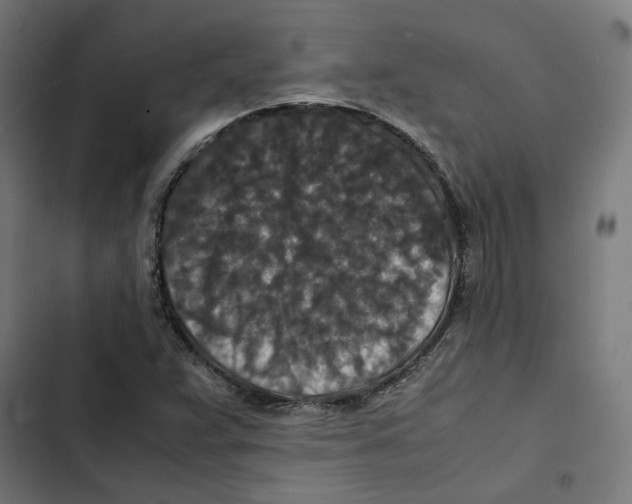 X0000102511359200809051400