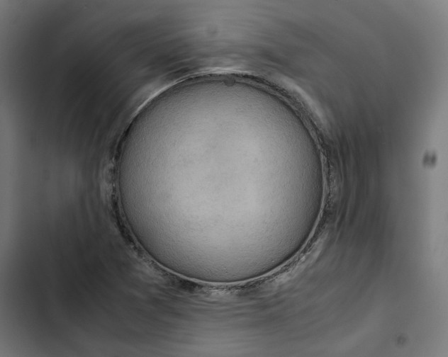 X0000102511361200809051400
