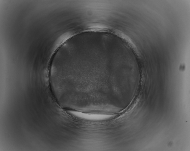 X0000102511362200809051359