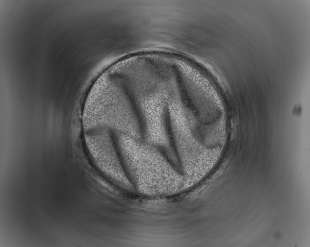 X0000102511363200809051359