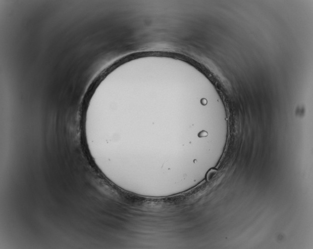 X0000102511364200809051359