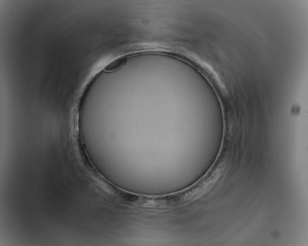 X0000102511365200809051359