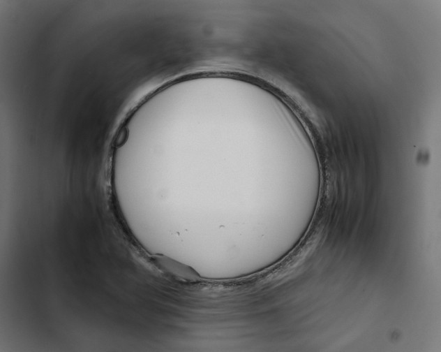 X0000102511366200809051359