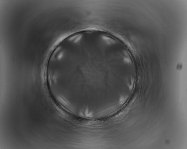 X0000102511367200809051359