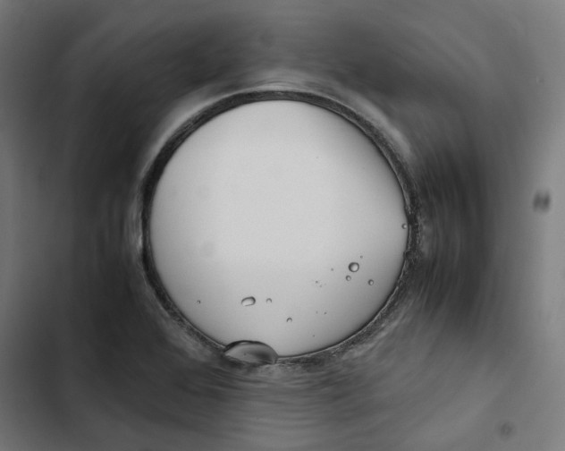 X0000102511368200809051359