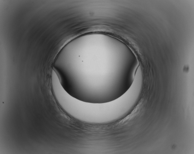 X0000102511369200809051359