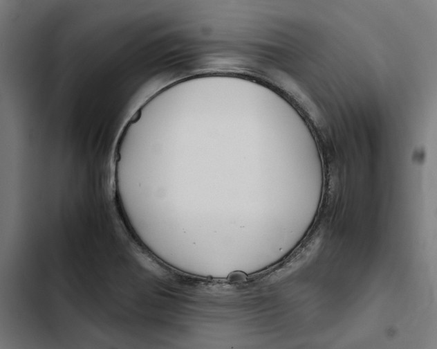 X0000102511370200809051359