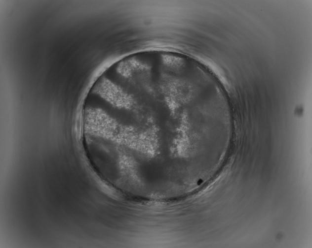 X0000102511371200809051359