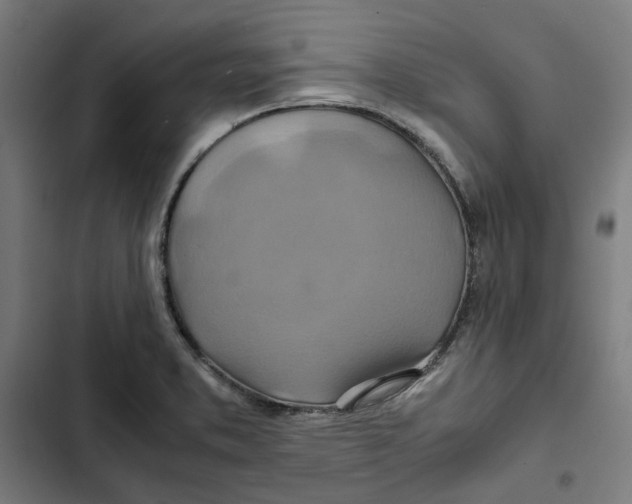 X0000102511373200809051359