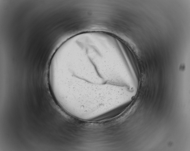 X0000102511374200809051359
