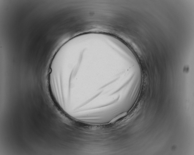 X0000102511375200809051359