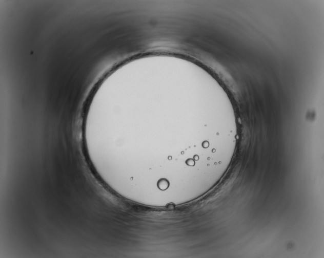 X0000102511376200809051359