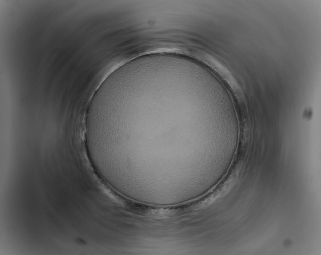 X0000102511377200809051359