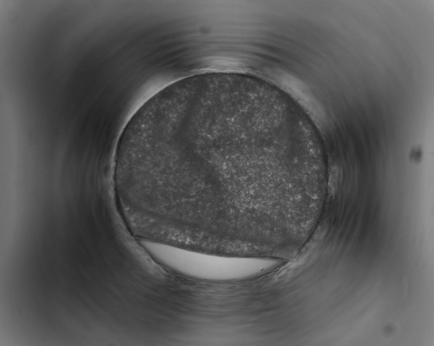 X0000102511378200809051359