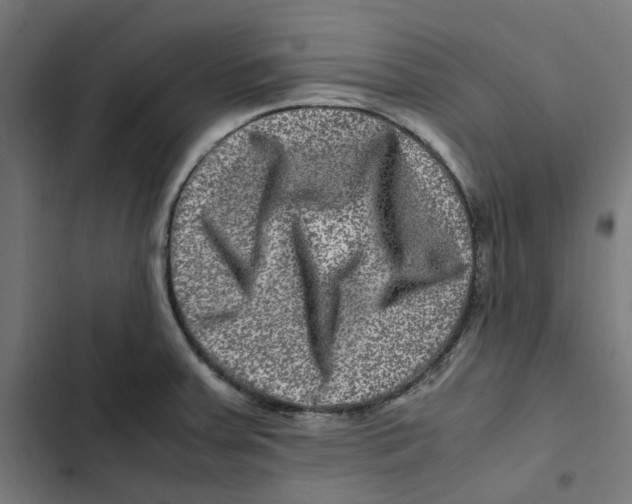 X0000102511379200809051359