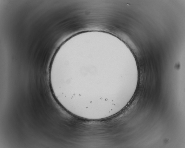 X0000102511380200809051359