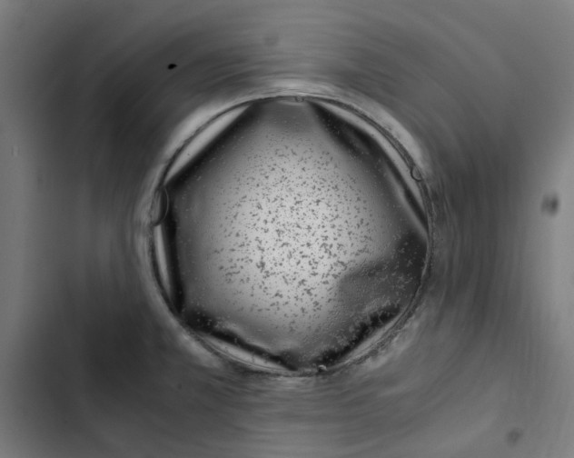 X0000102511381200809051359