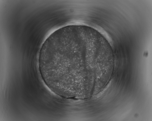X0000102511382200809051359