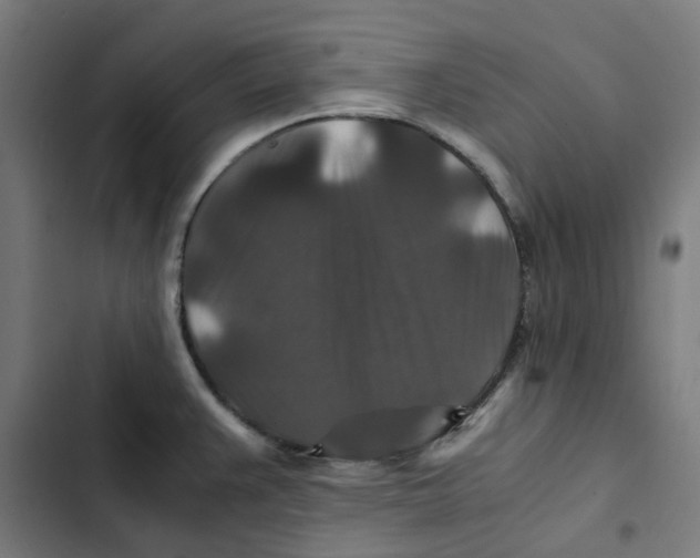 X0000102511383200809051359