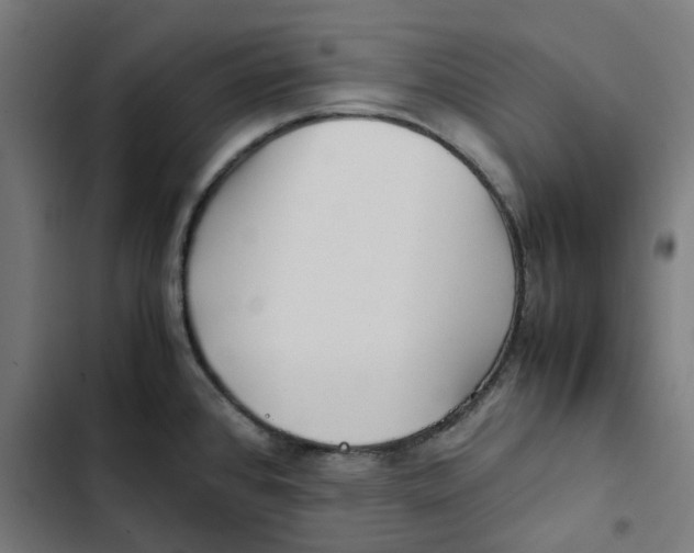 X0000102511384200809051359