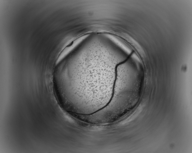 X0000102511385200809051359