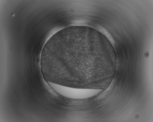 X0000102511386200809051359