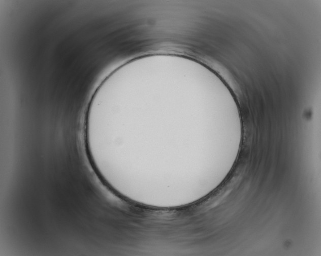 X0000102511387200809051359