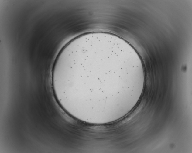 X0000102511388200809051359