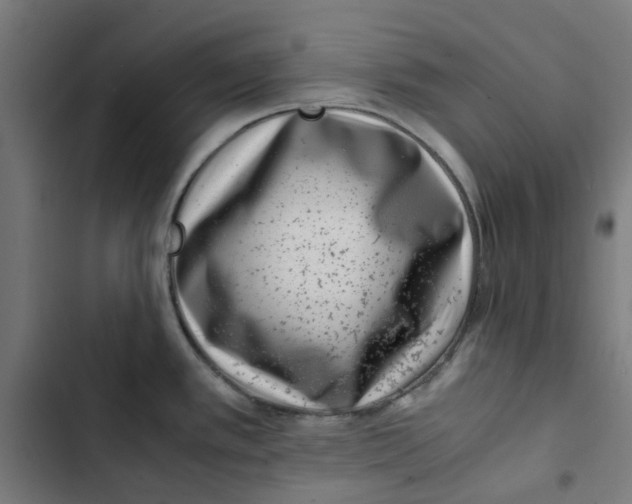 X0000102511389200809051359
