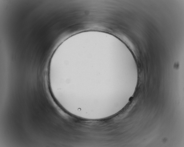 X0000102511391200809051359