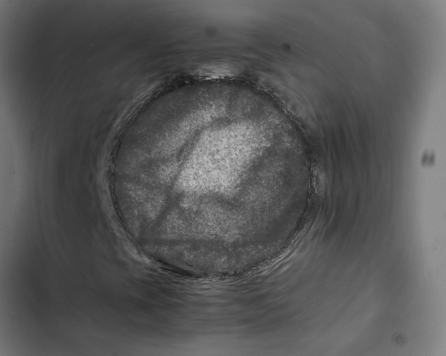 X0000102511393200809051358