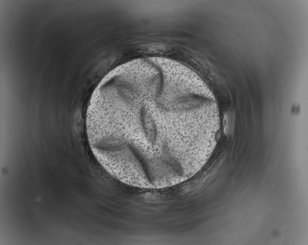 X0000102511395200809051358